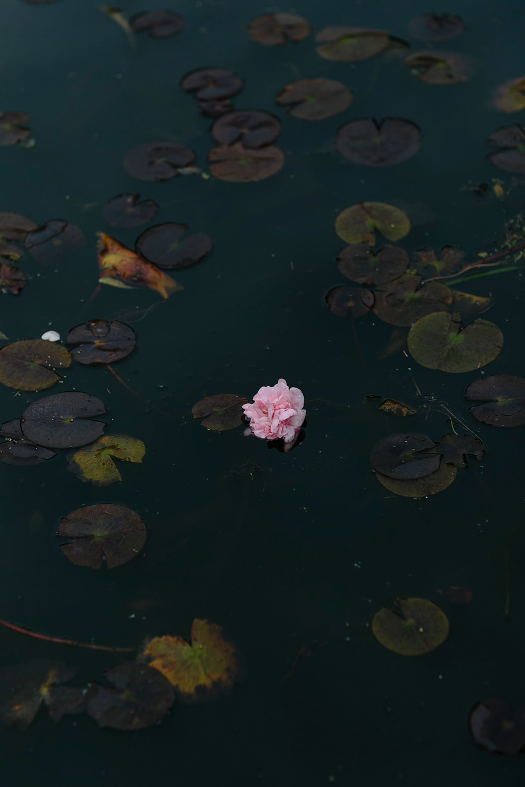 There's Something About Stillness